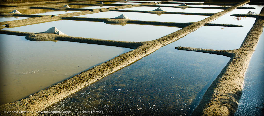 Marais salants de Guérande