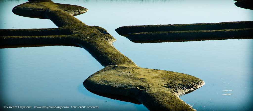 Marais salants de Guérande