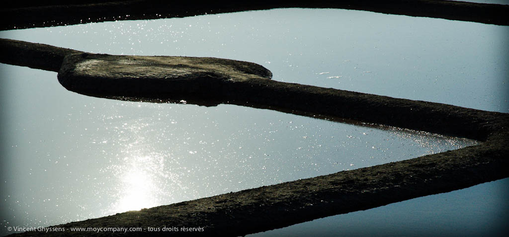Marais salants de Guérande