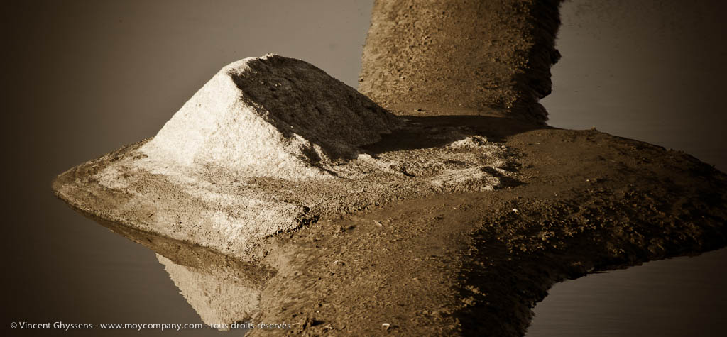 Marais salants de Guérande