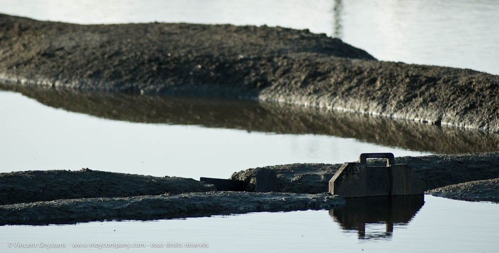 Marais salants de Guérande