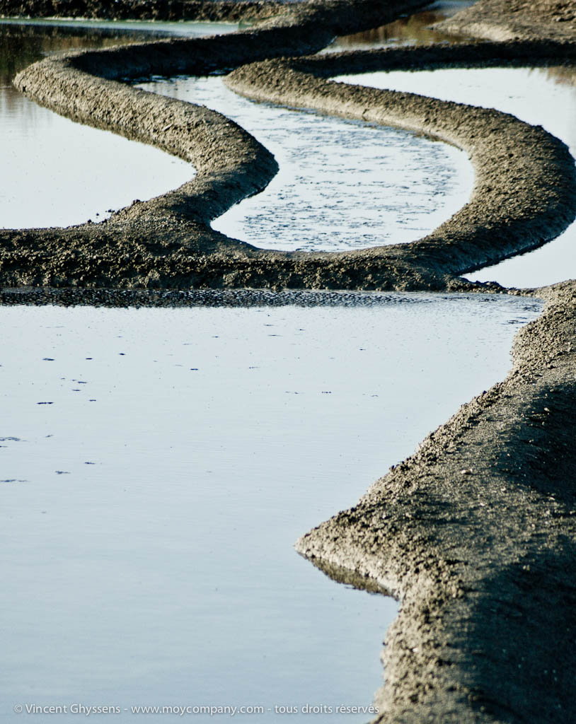 Marais salants de Guérande