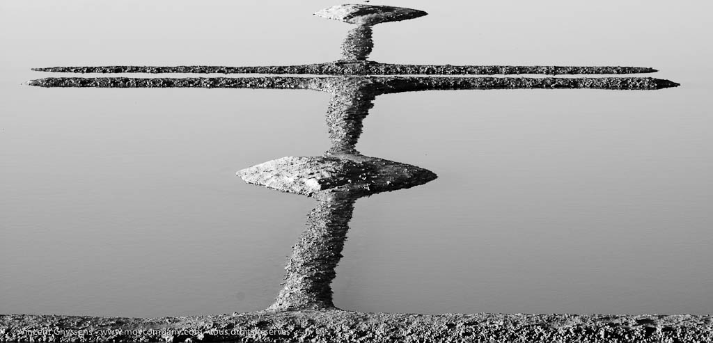 Marais salants de Guérande