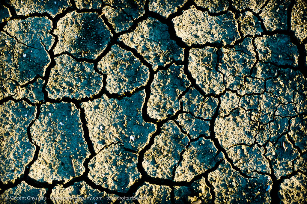 Marais salants de Guérande